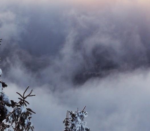 粉象生活可以赚钱吗