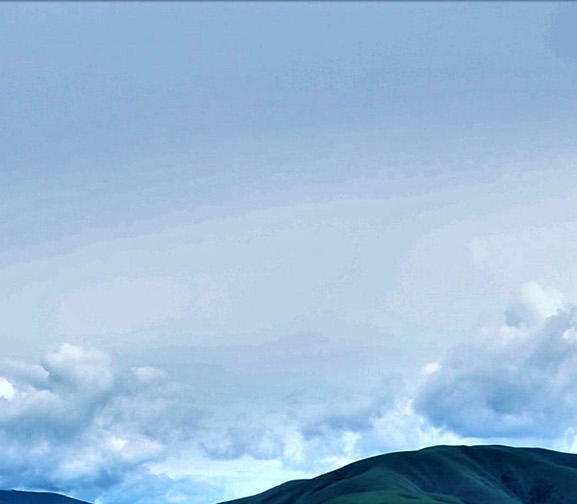 粉象生活为什么最省钱