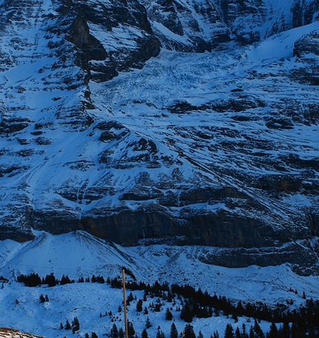 粉象生活是干嘛的APP