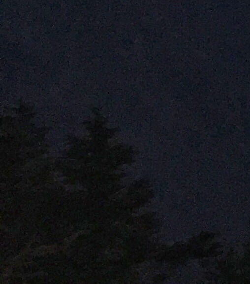 东莞粉象生活使用教程