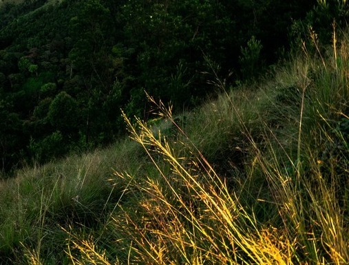 粉象生活可以赚钱吗