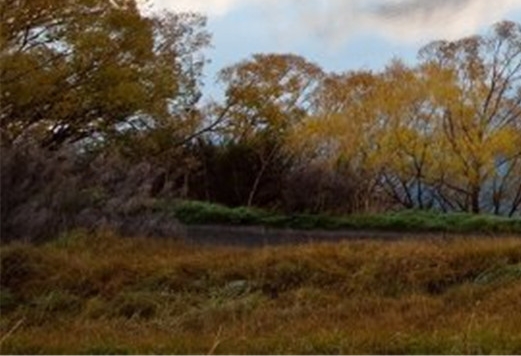 深圳粉象生活如何使用