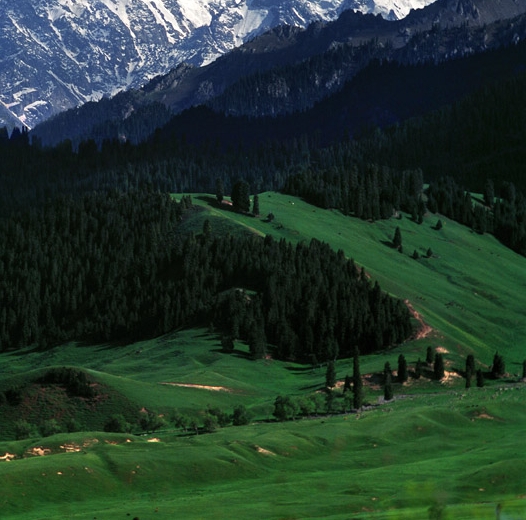 粉象生活邀请码