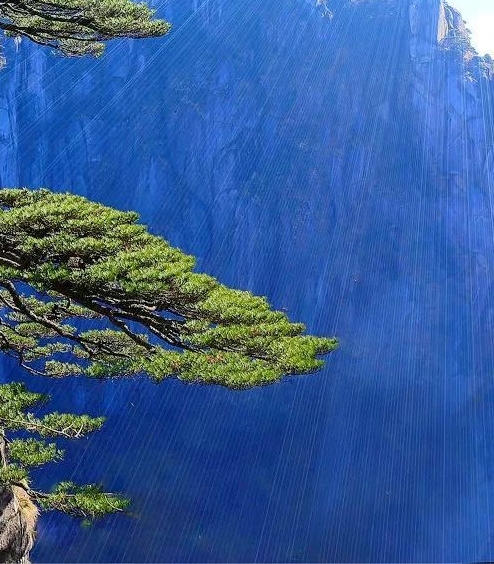 粉象生活里的东西是真的吗