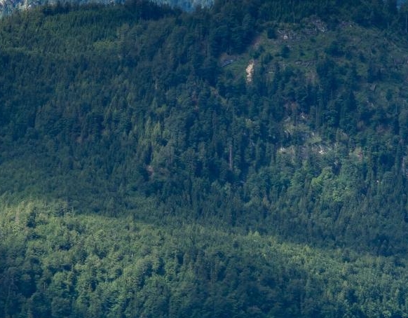 阜阳生活垃圾焚烧发电厂