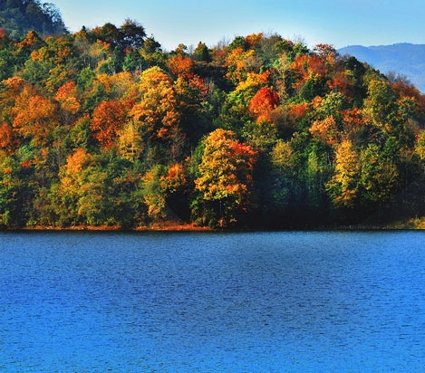 粉象生活是怎么赚钱的