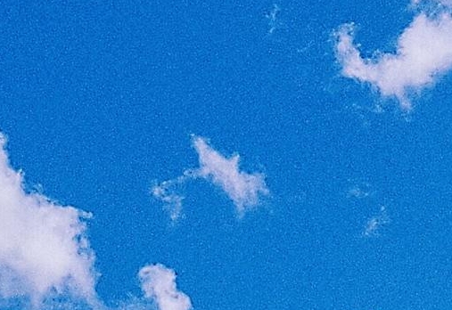 粉象生活是干嘛的