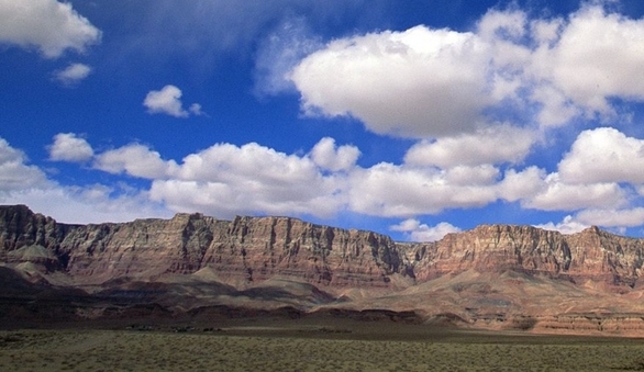 粉象生活是怎么赚钱的