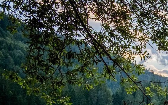 粉象生活是怎么赚钱的