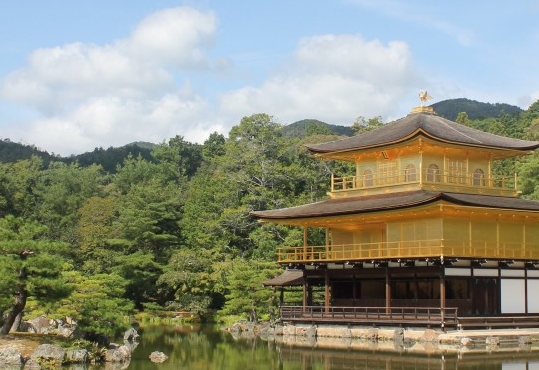 粉象生活邀请码