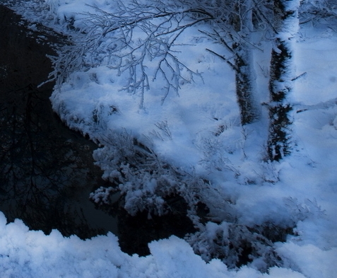 粉象生活下载app