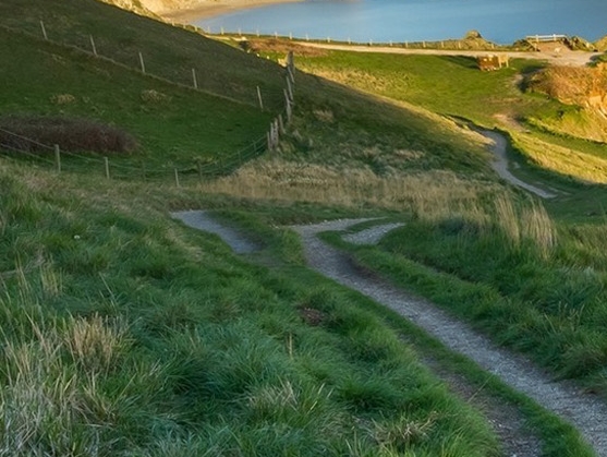 粉象生活邀请码