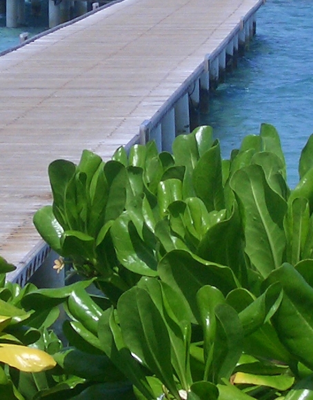 粉象生活跟好省哪个靠谱