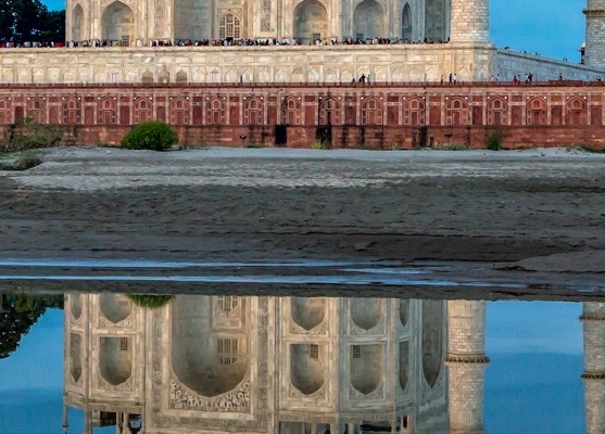 粉象生活邀请码