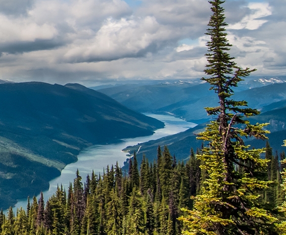 粉象生活注册邀请码怎么填