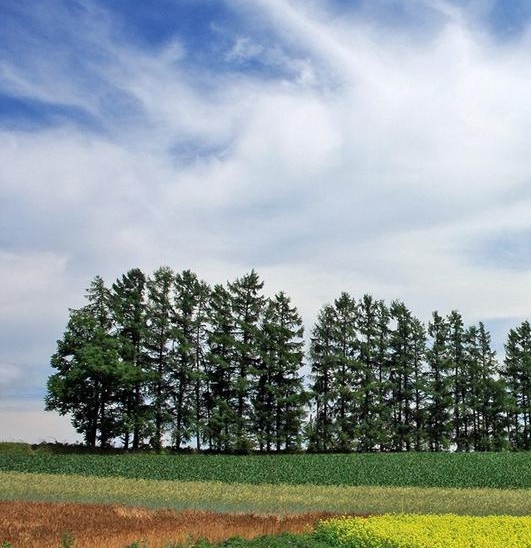 粉象生活下载app