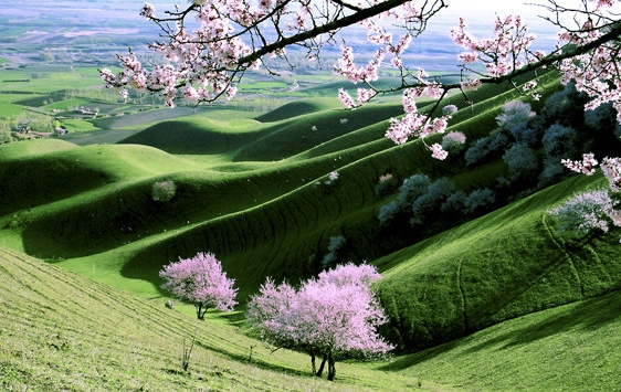 粉象生活在哪里看我的粉丝