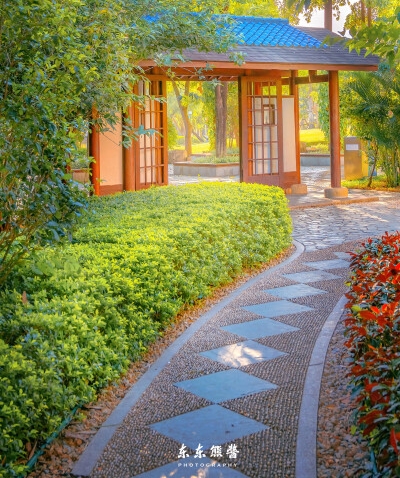 粉象生活是怎么赚钱的