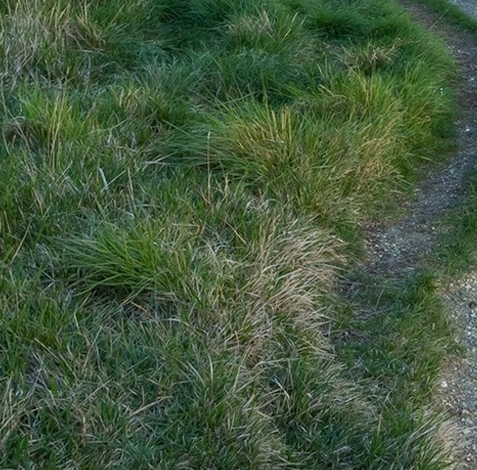 粉象生活邀请码