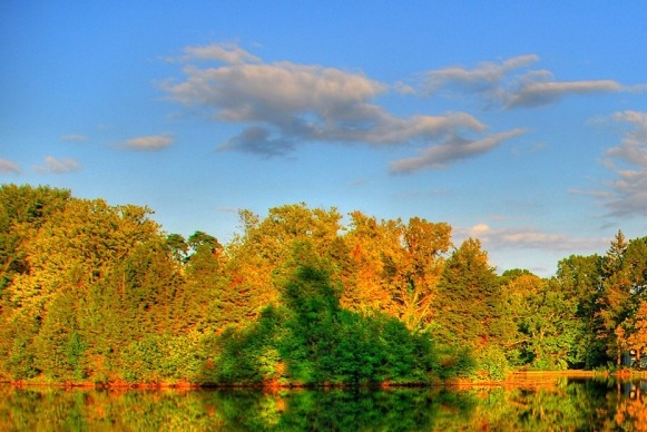 粉象生活超级会员