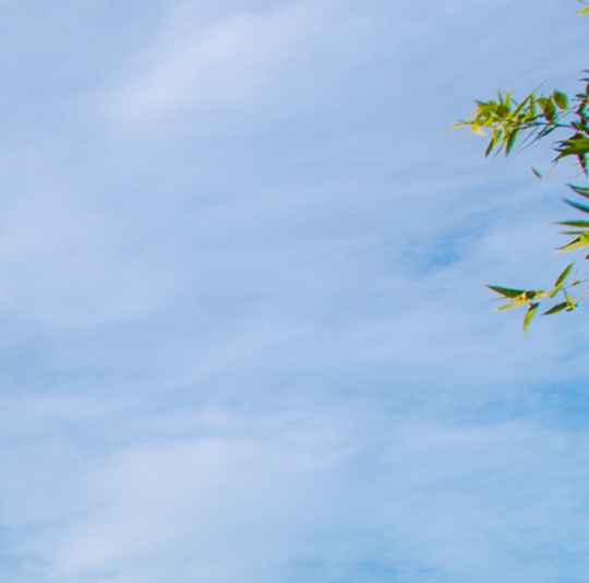 粉象生活日历app