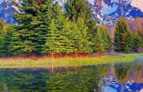 粉象生活是怎么赚钱的