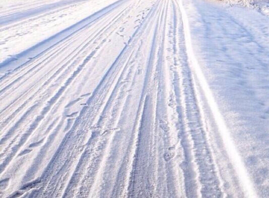 粉象生活公司简历