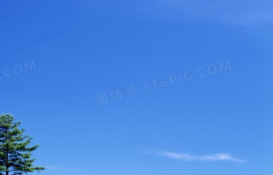 粉象生活分享链接怎么获取