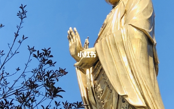 粉象生活下载