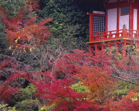 粉象生活除菌
