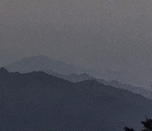 粉象生活牛人