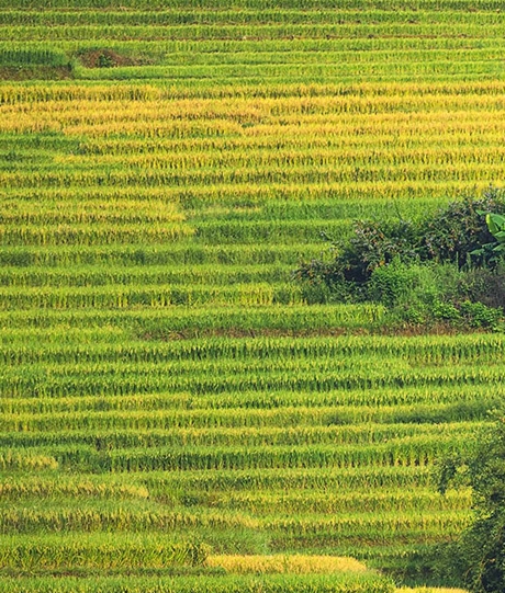 粉象生活的新用户如何赚钱