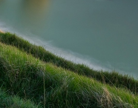 粉象生活新手怎么做