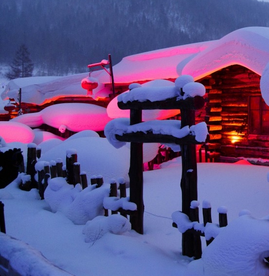 粉象生活升级后大概几天才看到收入