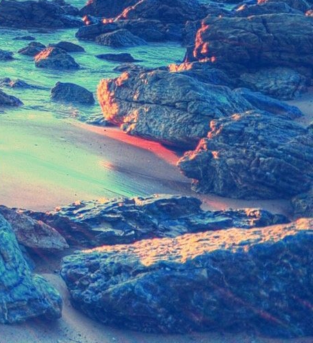 粉象生活下载app