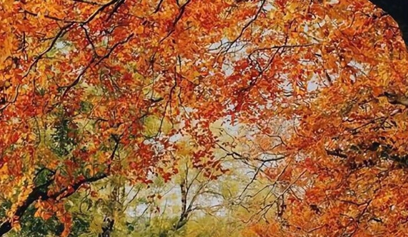 粉象生活下载app