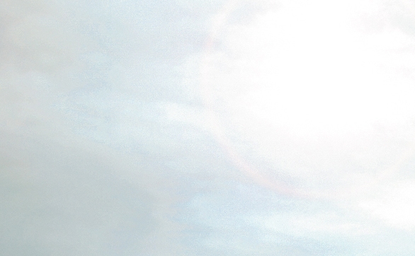 粉象生活邀请码