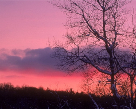 粉象生活邀请码