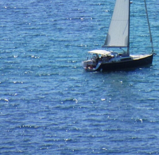 粉象生活真实收入