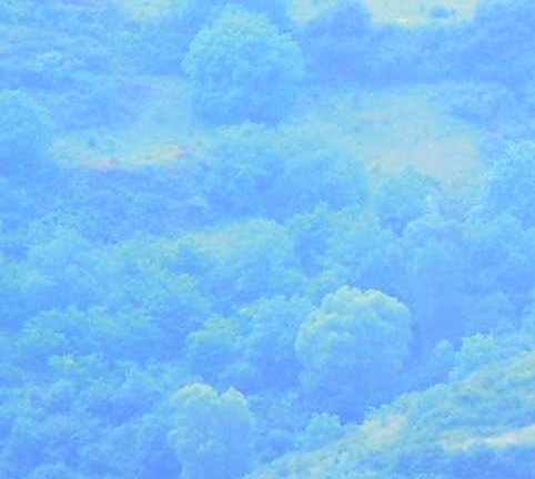 烟台拘留所里的生活图片