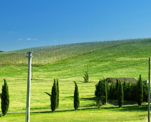 粉象生活怎么添加头条