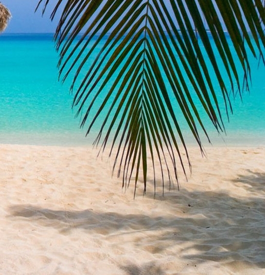 粉象生活邀请码