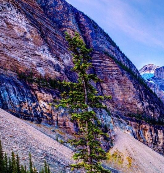 粉象生活的东西是真的假的