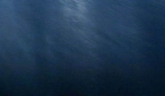 粉象生活怎么晋级