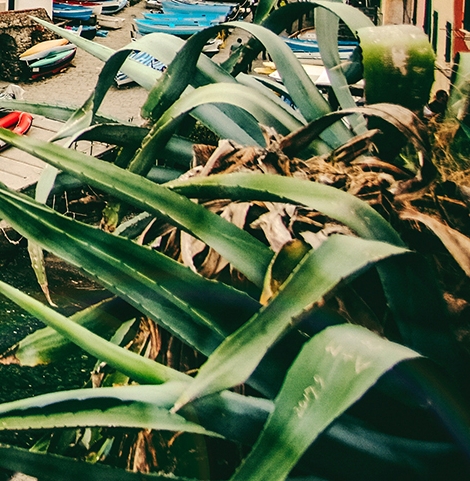 粉象生活可以赚钱吗