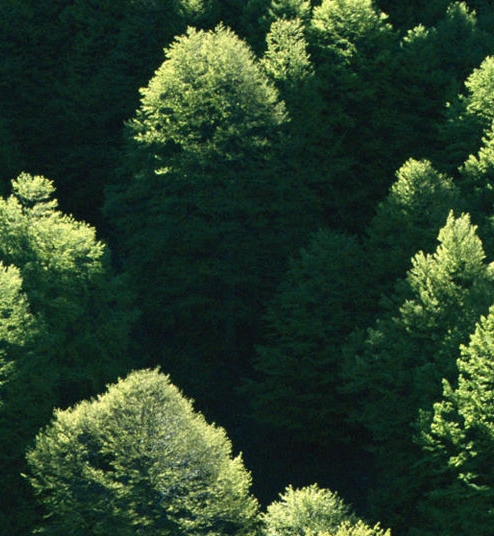 粉象生活可以赚钱吗