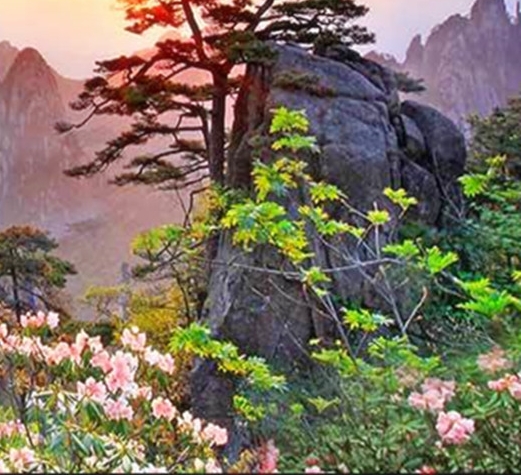 快手上的粉象生活挣钱是真的吗