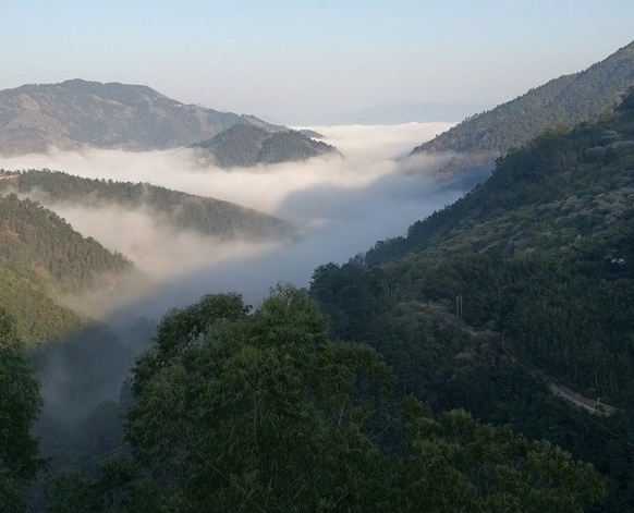 粉象生活在哪看我的邀请人