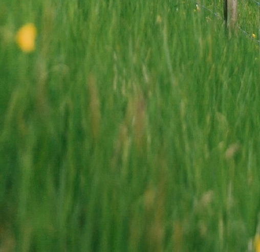 粉象生活邀请码