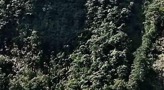 粉象生活邀请码